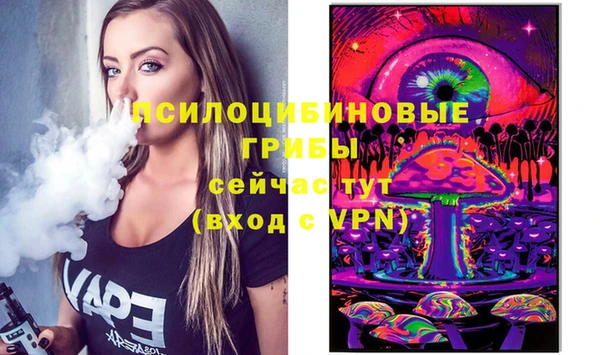 ECSTASY Алексин
