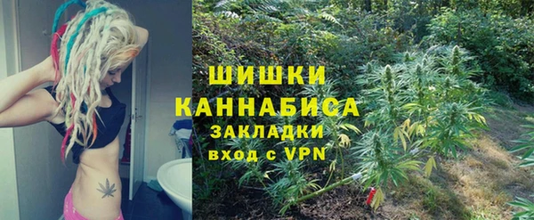 прущий лед Алзамай