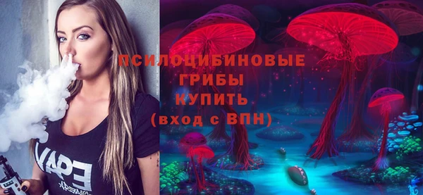 прущий лед Алзамай