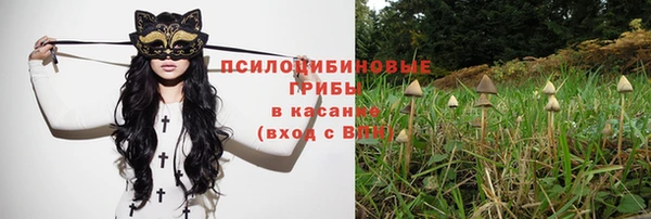 прущий лед Алзамай