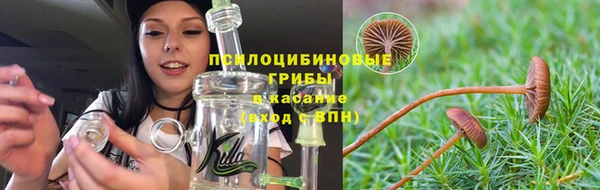 ECSTASY Алексин